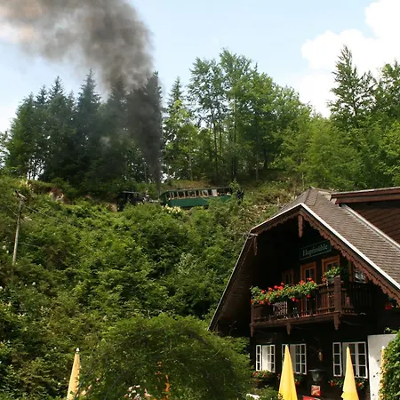 Konukevi Hupfmuehle 3*
