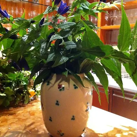 Hupfmuehle Saint Wolfgang