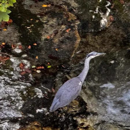 Pensjonat Hupfmuehle