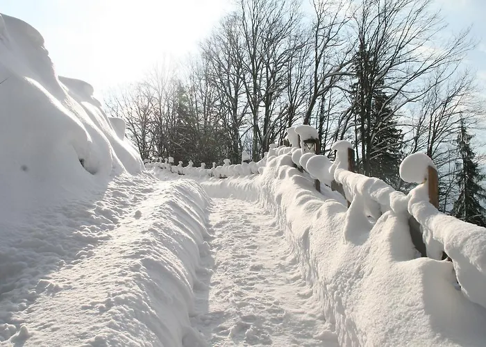 Hupfmuehle Pensjonat 3*