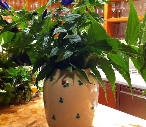 Hupfmuehle Saint Wolfgang