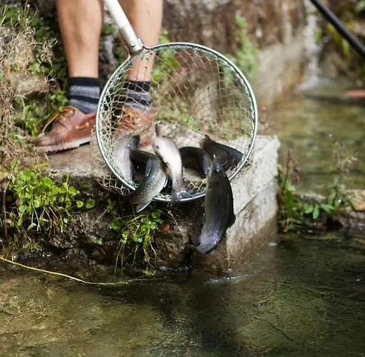 Hupfmuehle Pensjonat
